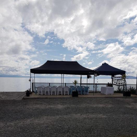 Waitahanui Lodge エクステリア 写真